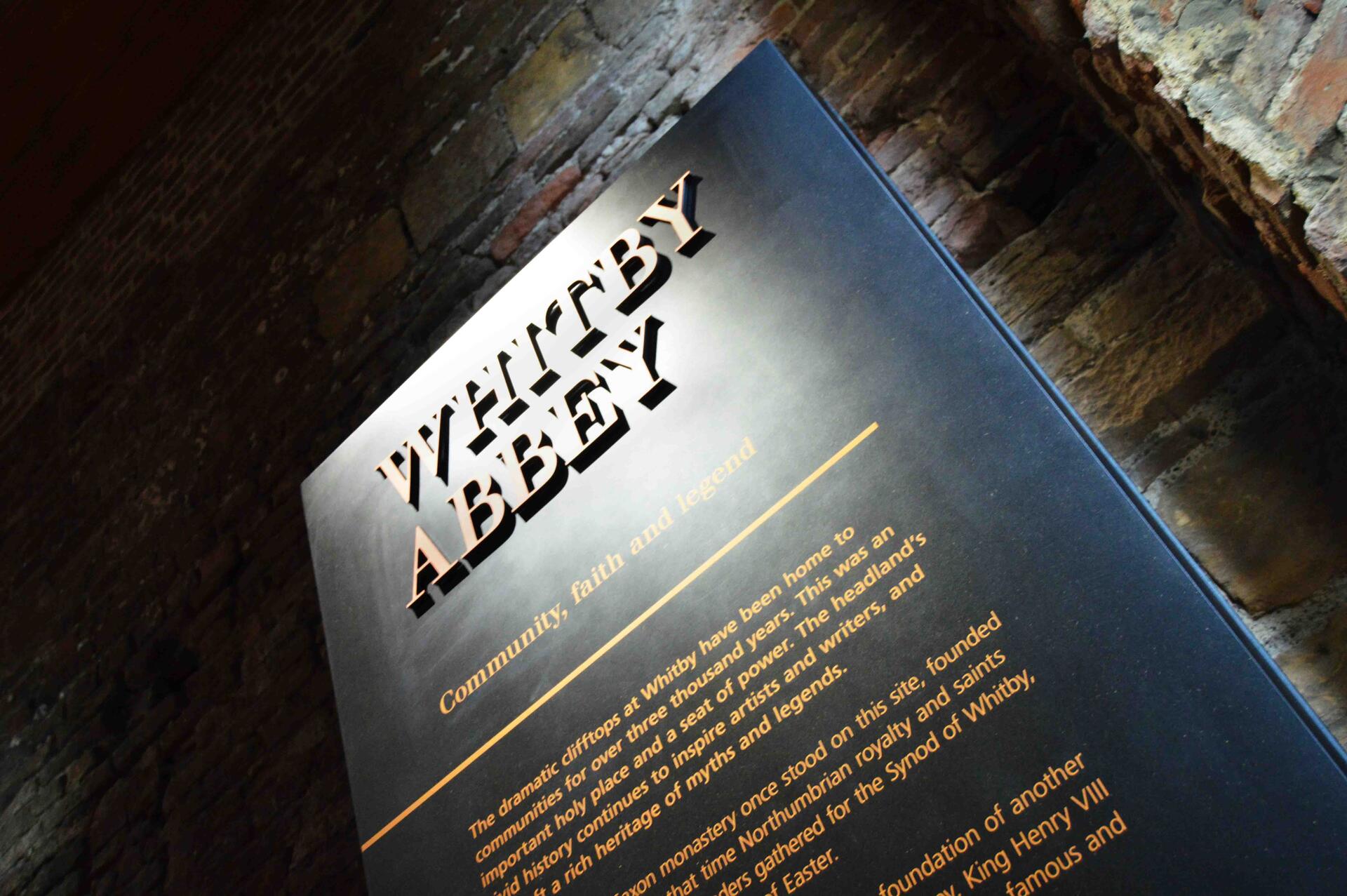 Whitby Abbey (15)